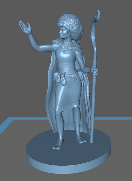 Adventurer: Female Human Druid with Afro