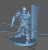 Adventurer: Human Paladin with Tower Shield And Spear
