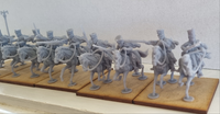 Napoleonic French Hussars with Rifles