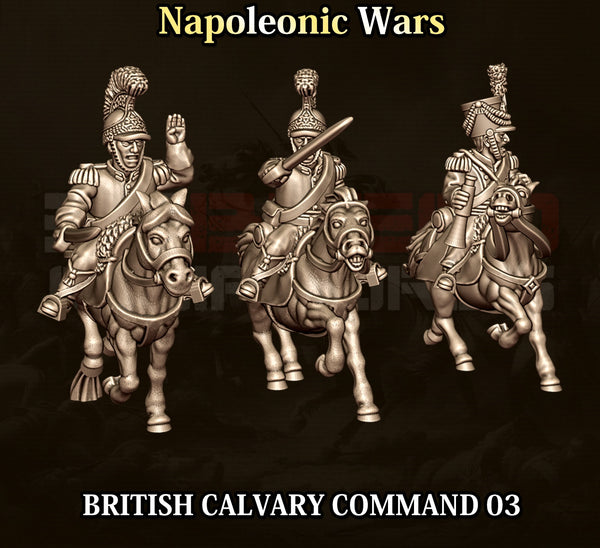 Napoleonic Wars 15mm: British Household Command (3)