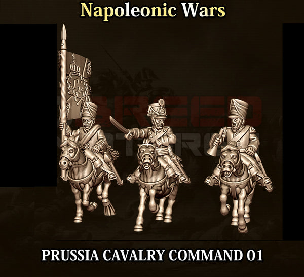 Napoleonic Wars 15mm: Prussian Cavalry Command 01 (3)