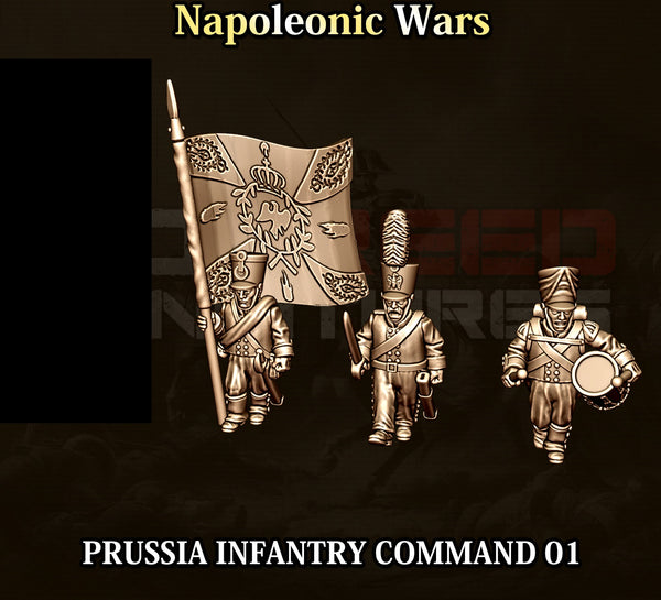 Napoleonic Wars 15mm: Prussian Infantry Command 01 (3)