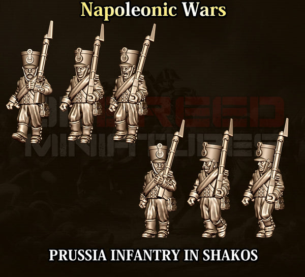 Napoleonic Wars 15mm: Prussian Infantry in Shakos (12)