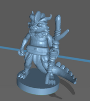 Adventurer: Young Dragonborn Druid