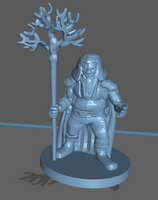 Adventurer: Male Dwarf Druid