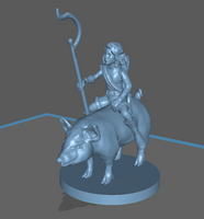 Adventurer: Female Halfling Druid on Pig