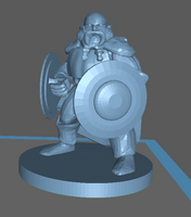 Adventurer: Male Dwarf Fighter two Shields