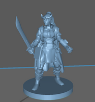 Adventurer: Female Tiefling Samurai Fighter