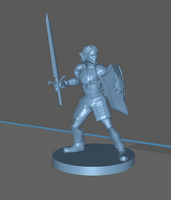 Adventurer: Female Elf Paladin Sword & Kite Shield