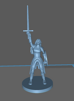 Adventurer: Female Elf Paladin Sword & Round Shield