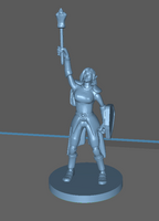 Adventurer: Female Elf Paladin Cleric with Mace