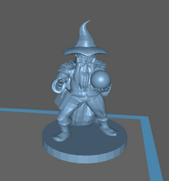 Adventurer: Male Dwarf Wizard