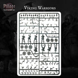 Pillage - Introductory Set