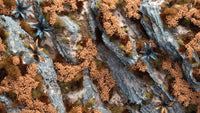 Autumn Shrubs - Gamers Grass