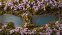 Lavender Flowers - Gamers Grass