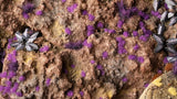 Tiny Alien Purple  2mm - Gamers Grass