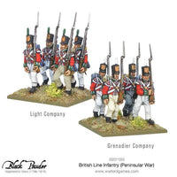 Napoleonic British Line Infantry (Peninsular War)