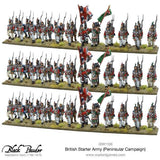 Napoleonic British starter army (Peninsular campaign)