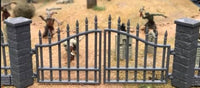 Spear Point Fences and Gates (Plastic) -