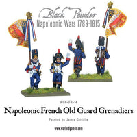Napoleonic French Old Guard Grenadiers