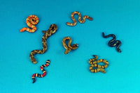 Dead Man's Hand - Snakes (7 snakes)