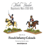 Napoleonic  Mounted Napoleonic French Infantry Colonels